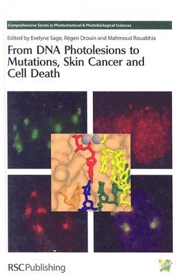 From DNA Photolesions to Mutations, Skin Cancer and Cell Death 1