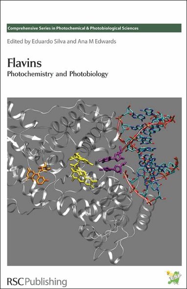 Eduardo Silva, Ana M Edwards - Flavins, Inbunden