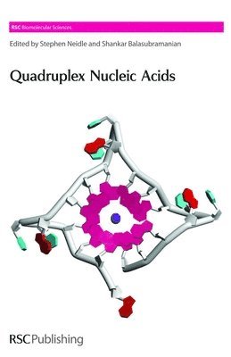 bokomslag Quadruplex Nucleic Acids