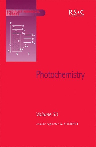 bokomslag Photochemistry