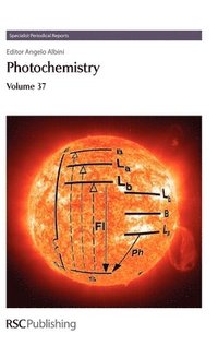 bokomslag Photochemistry