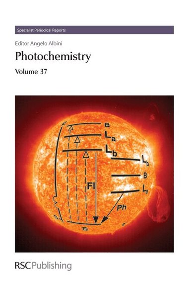 Angelo Albini - Photochemistry, Inbunden