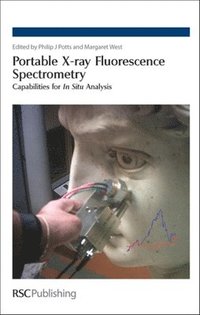 bokomslag Portable X-ray Fluorescence Spectrometry
