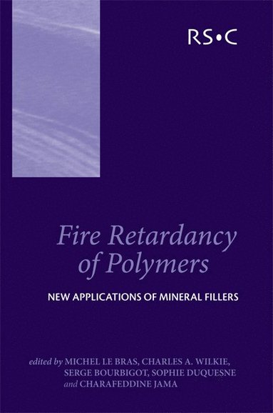 bokomslag Fire Retardancy of Polymers
