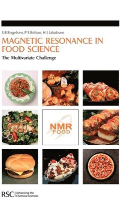 bokomslag Magnetic Resonance in Food Science