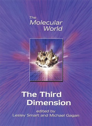 Lesley E Smart, J M F Gagan - Third Dimension, Häftad