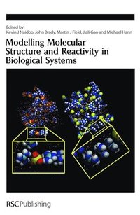 bokomslag Modelling Molecular Structure and Reactivity in Biological Systems