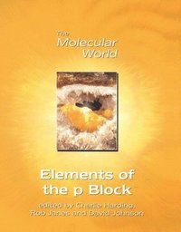bokomslag Elements of the p-Block