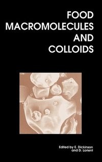 bokomslag Food Macromolecules and Colloids