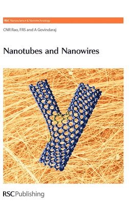 bokomslag Nanotubes and Nanowires