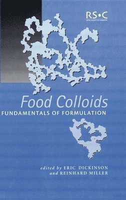 bokomslag Food Colloids