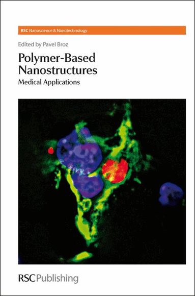 Pavel Broz - Polymer-based Nanostructures, Inbunden