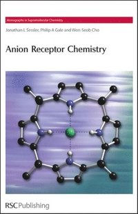 bokomslag Anion Receptor Chemistry