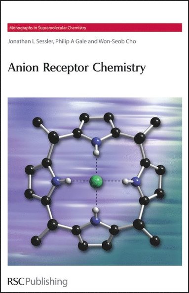 bokomslag Anion Receptor Chemistry