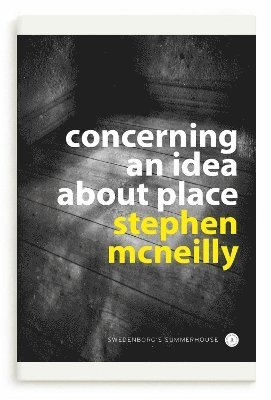 Stephen McNeilly - Concerning an idea about place, Häftad
