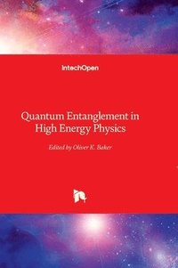 bokomslag Quantum Entanglement in High Energy Physics