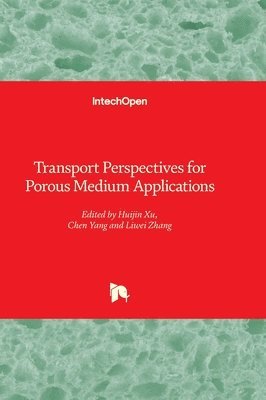 bokomslag Transport Perspectives for Porous Medium Applications