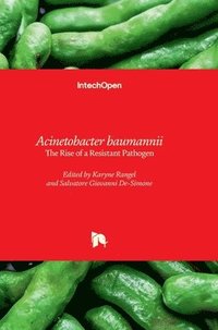 bokomslag Acinetobacter baumannii - The Rise of a Resistant Pathogen