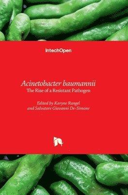 bokomslag Acinetobacter baumannii