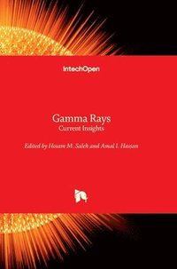 bokomslag Gamma Rays - Current Insights