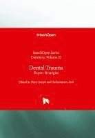 bokomslag Dental Trauma - Expert Strategies: Expert Strategies