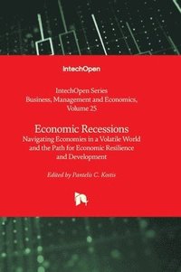 bokomslag Economic Recessions