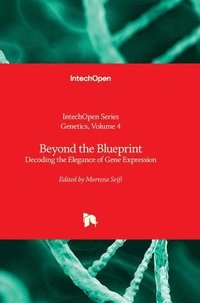 bokomslag Beyond the Blueprint