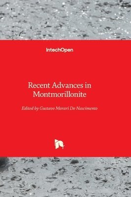 bokomslag Recent Advances in Montmorillonite