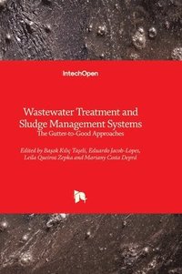 bokomslag Wastewater Treatment and Sludge Management Systems