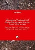 bokomslag Wastewater Treatment and Sludge Management Systems - The Gutter-to-Good Approaches: The Gutter-to-Good Approaches