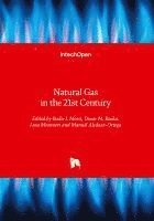 bokomslag Natural Gas in the 21st Century