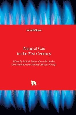 bokomslag Natural Gas in the 21st Century