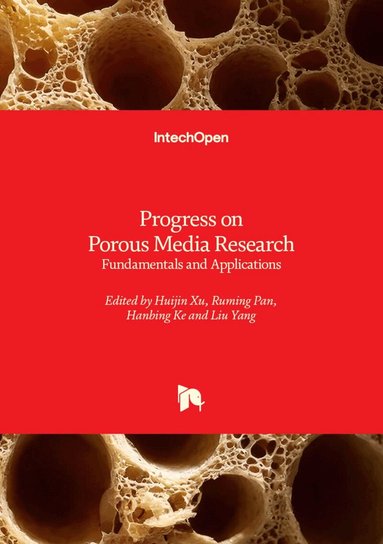 Liu Yang, Hanbing Ke, Ruming Pan, Huijin Xu, Huijin Xu, Ruming Pan, Hanbing Ke, Liu Yang - Progress on Porous Media Research, Inbunden