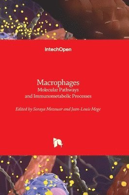 Macrophages 1