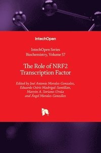 bokomslag The Role of NRF2 Transcription Factor