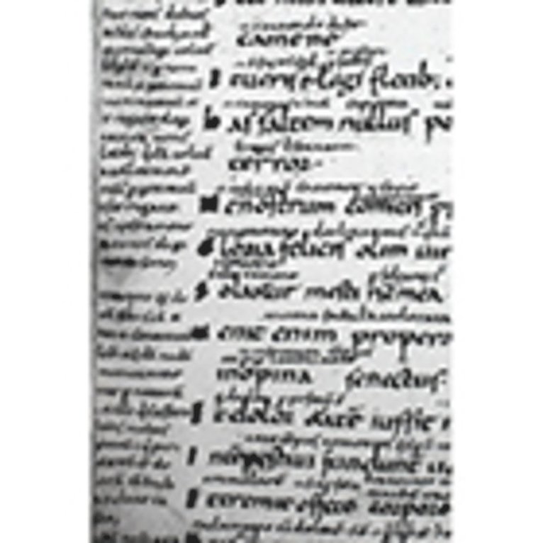 Margaret T. Gibson, Lesley Smith, Marina Passalacqua - Codices Boethiani: Portugal and Spain v. 4, Häftad