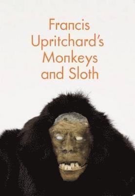 Francis Upritchard's Monkeys and Sloth 1