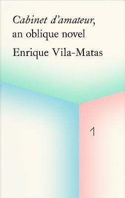 Cabinet d'amateur, an oblique novel: Enrique Vila-Matas 1