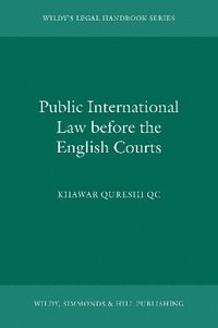 bokomslag Public International Law before the English Courts