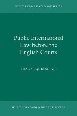 bokomslag Public International Law before the English Courts