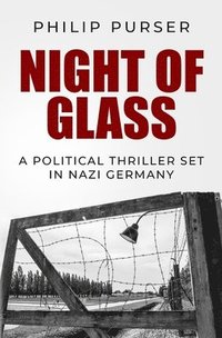 bokomslag Night of Glass