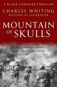 bokomslag Mountain of Skulls