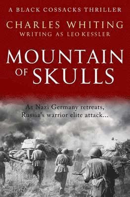 bokomslag Mountain of Skulls