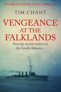 bokomslag Vengeance at the Falklands