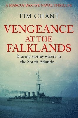bokomslag Vengeance at the Falklands