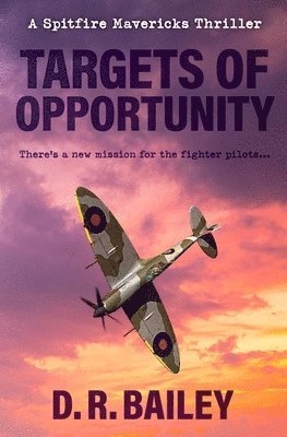 Targets of Opportunity