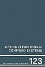bokomslag Optics of Excitons in Confined Systems