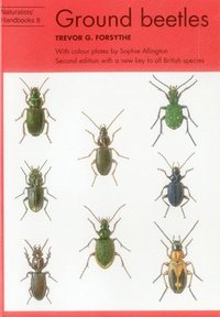 bokomslag Ground beetles