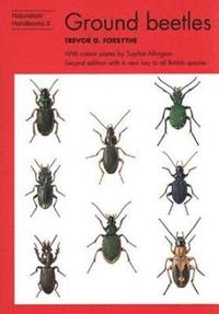 bokomslag Ground beetles