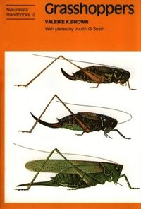 bokomslag Grasshoppers